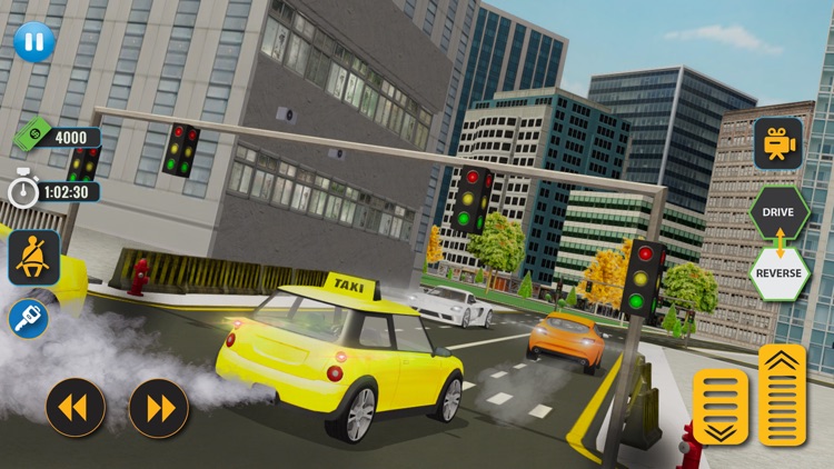 Taxi Driver Life New York City screenshot-5