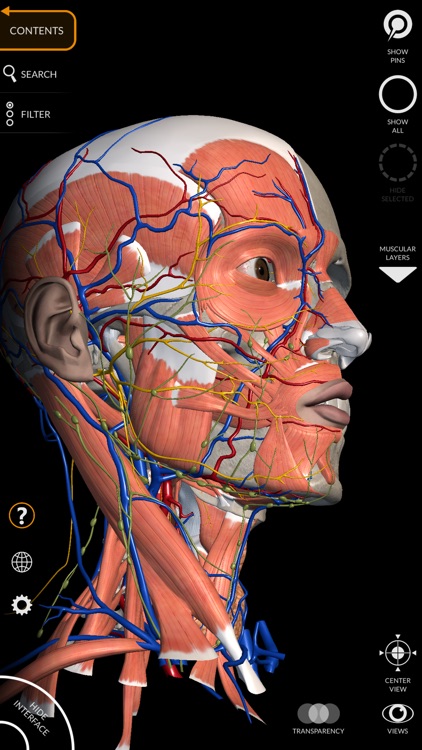 Anatomy 3D Atlas screenshot-7