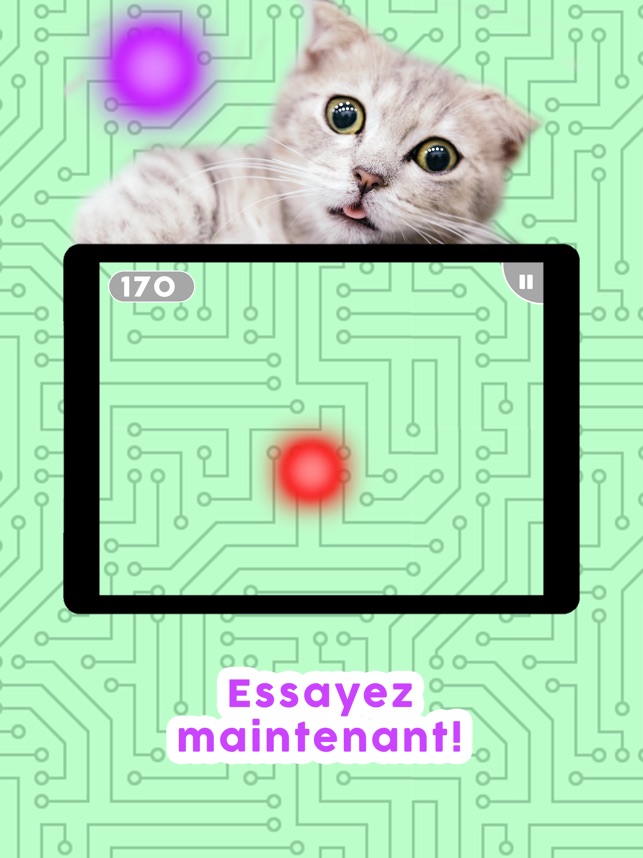 Jeux Pour Les Chats Dans L App Store