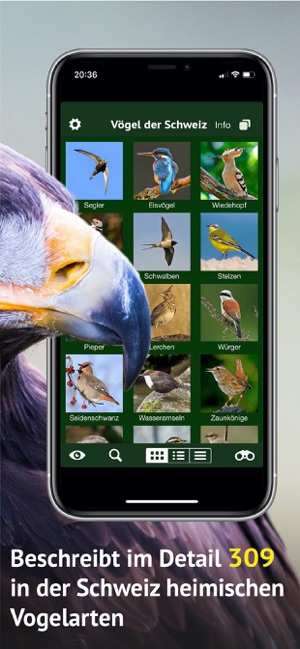 Vögel der Schweiz - Fotoguide(圖3)-速報App
