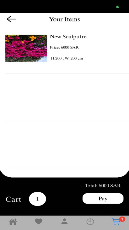 Saudi Art screenshot-3