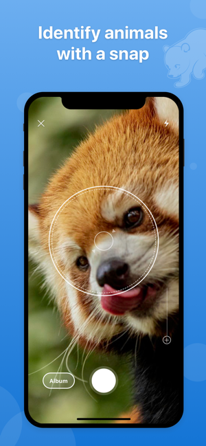 Picture Animal - 拍照識別動物(圖1)-速報App