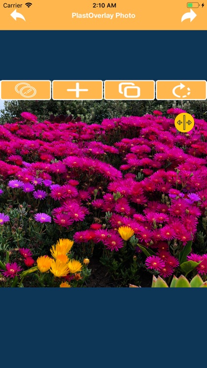 PlastOverlay Photo screenshot-3
