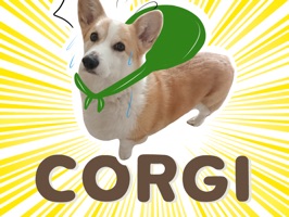 Welsh Corgi's style Part 2