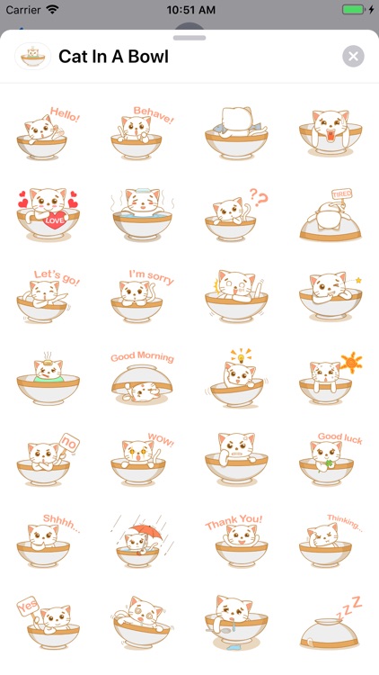 Cat in a bowl stickers