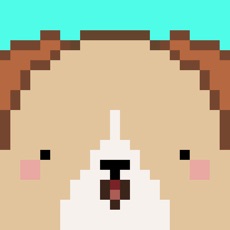 Activities of Pix! - Virtual Pet Widget Game