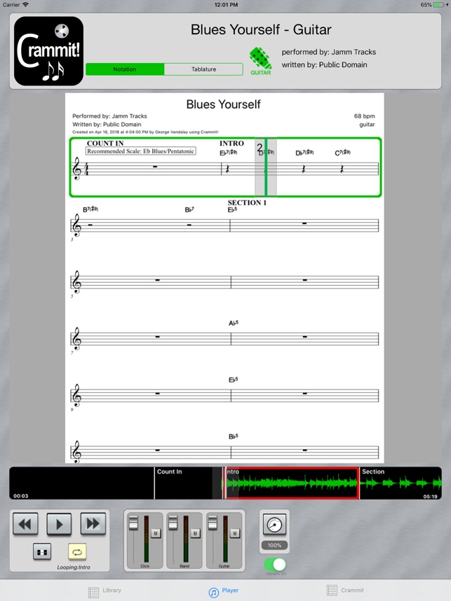 Crammit Player for iPad