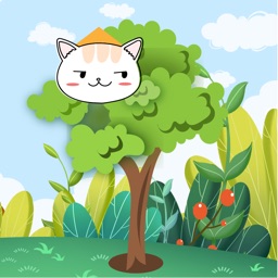 Where did the kitten go?