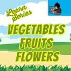 Learn Vegetable,Fruit & Flower