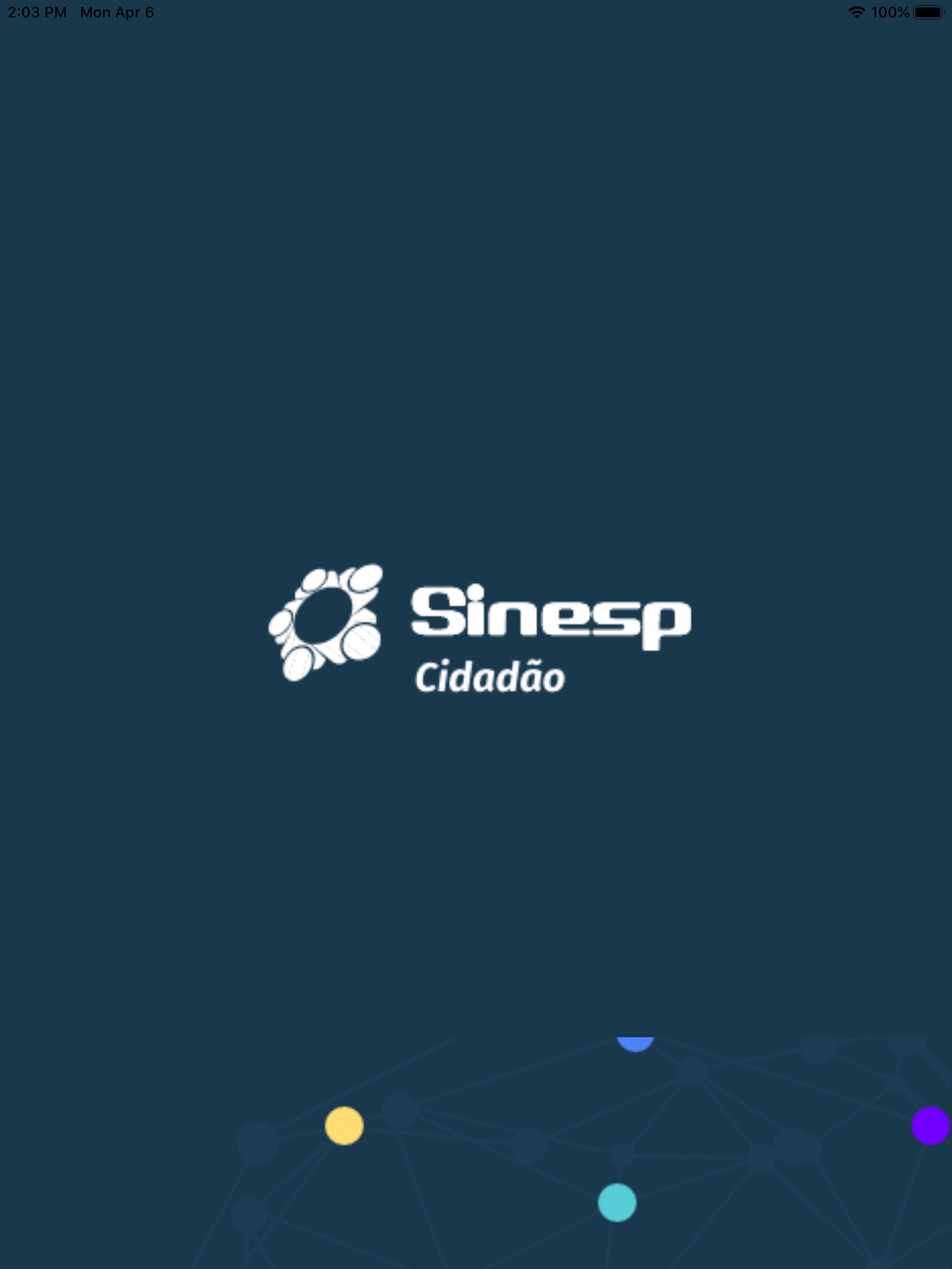 Sinesp Cidadão screenshot 4
