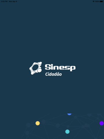 Sinesp Cidadão - náhled