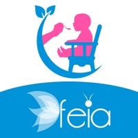 FEIA Захранване sur PC