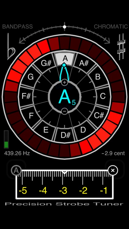 Precision Strobe Tuner