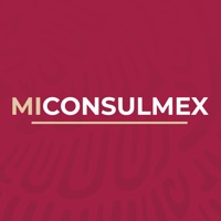 MiConsulmex ne fonctionne pas? problème ou bug?