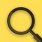 Use Magnifying Glass to turn your iPhone into a magnifying glass and zoom into text