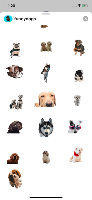 Dog Expressions(圖3)-速報App