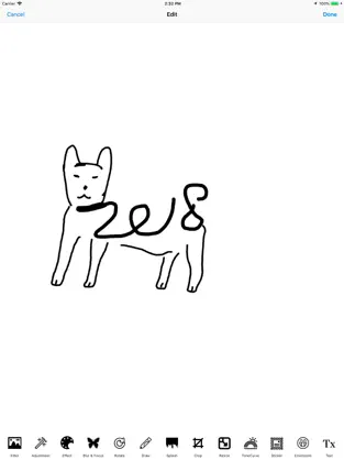 Στιγμιότυπο 4 Draw Editor - Drawing On Pics iphone