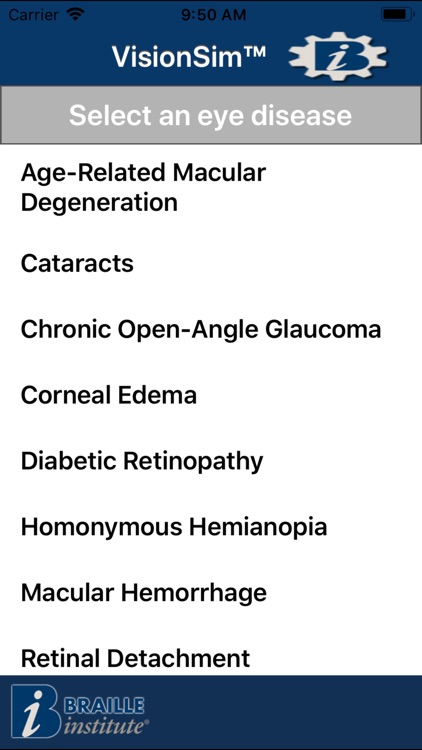 VisionSim by Braille Institute