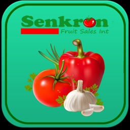 Senkron Ex Mobile Erp