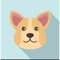 Simple app to identify the breed of your dog just using the picture of the dog