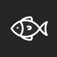 Straight off the boat PC 용