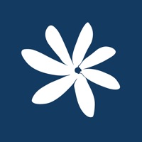  Air Tahiti Nui Alternatives