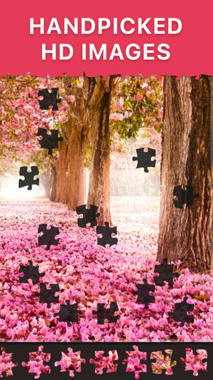 Daily Jigsaw Puzzles(圖2)-速報App