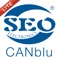 SEO CANblu immobilizer is a modern anti-theft device for your vehicle