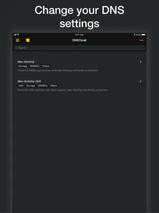 Screenshot 1 DNSCloak • Secure DNS client iphone