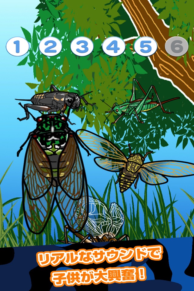 Catch Insect! screenshot 3