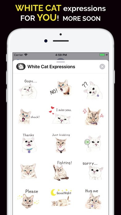 White Cat Expressions screenshot 4