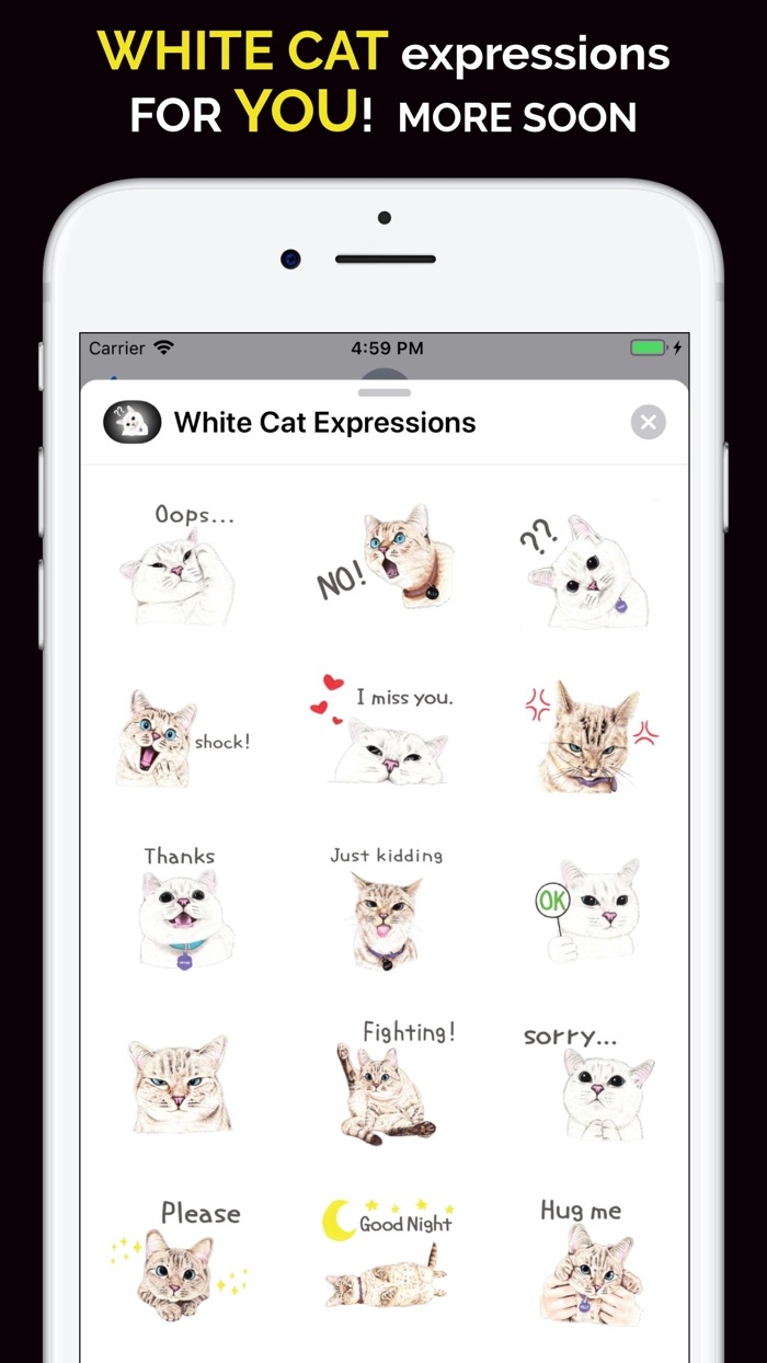 White Cat Expressions
