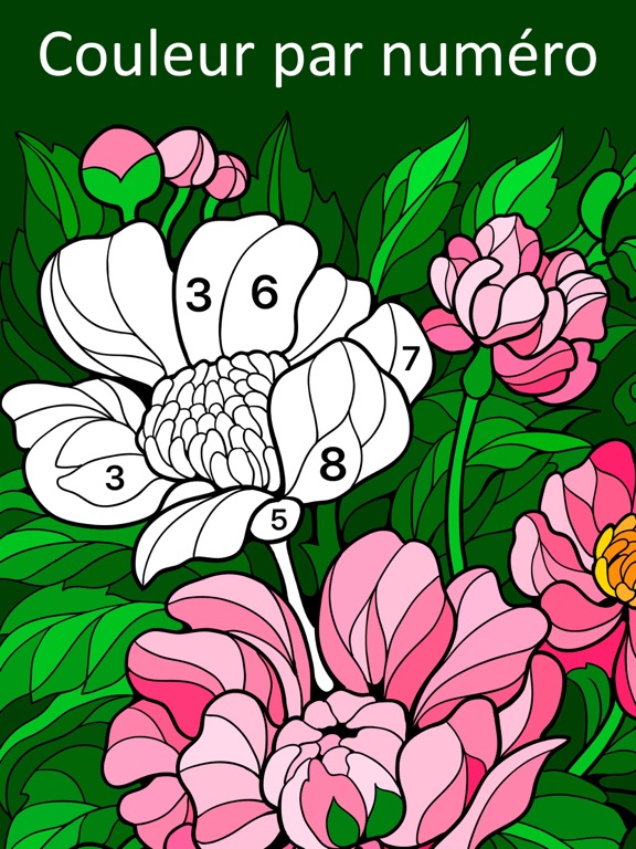 Screenshot #4 pour Coloriage par numéro: Line Art