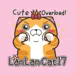 Lan Lan Cat 17 (EN) App Contact