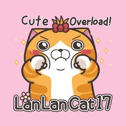 Lan Lan Cat 17 (EN)