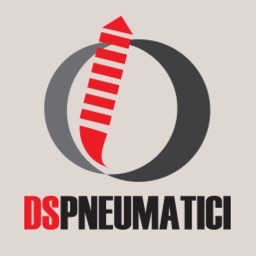 DS Pneumatici