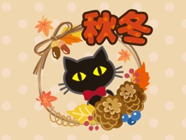 black cat (Autumn)