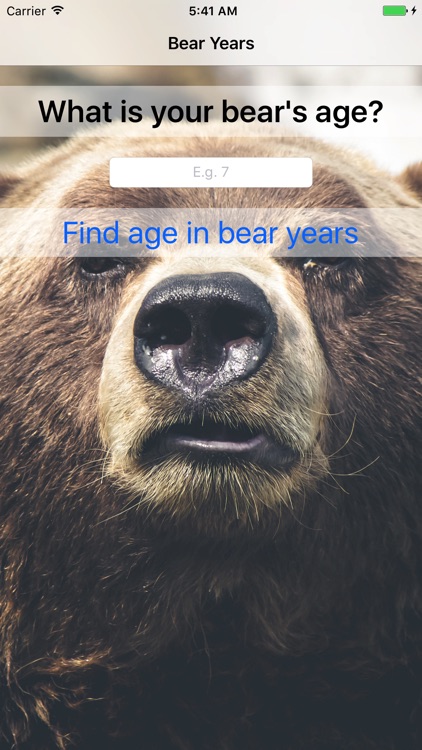 Bear Years - Fun For Kids!