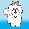Get My Coton Dog for iOS, iPhone, iPad Aso Report