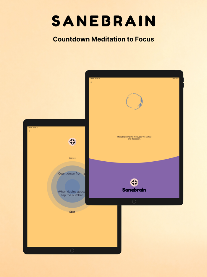 Sanebrain Pro - Strong Mindset