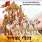 Icon Shrimad Bhagavad Gita in Hindi