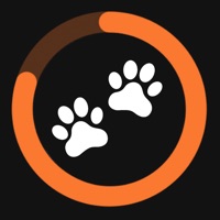 StepDog: Step Tracker with Dog
