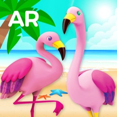 Activities of AR Flamingo