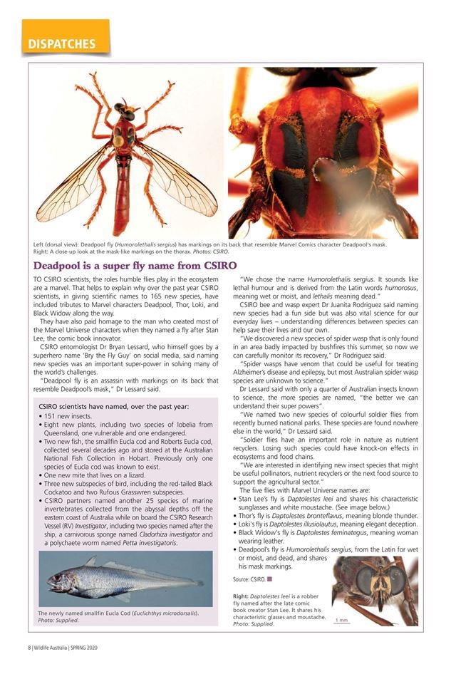 Wildlife Australia Magazine screenshot 4