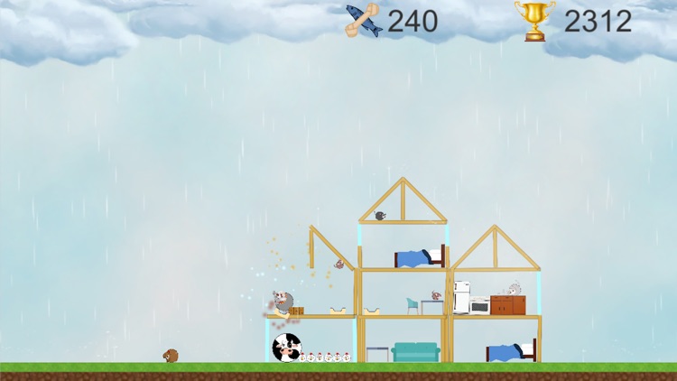 DogsVCats screenshot-3