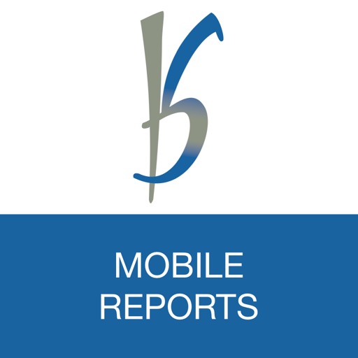 B&S Reports iOS App