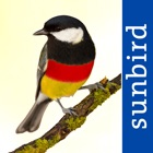 Top 30 Reference Apps Like All Birds Germany - Best Alternatives