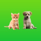 AnimalMoji Stickers