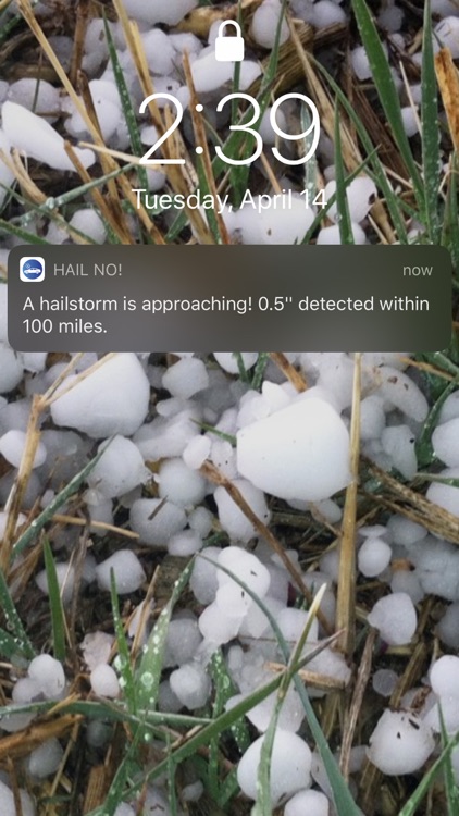 Hail No!