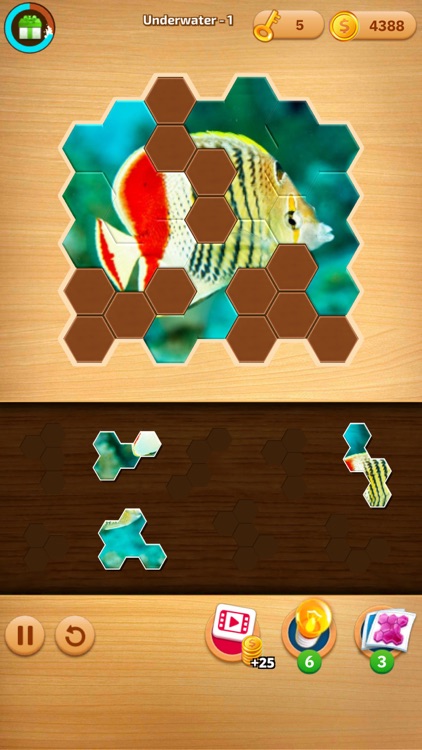Jigsaw Puzzles Hexa Ⓞ screenshot-7